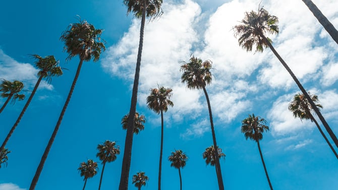 Solana Beach & Encinitas